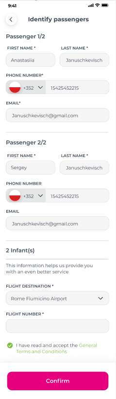passenger-information-flibco-ascendixtech